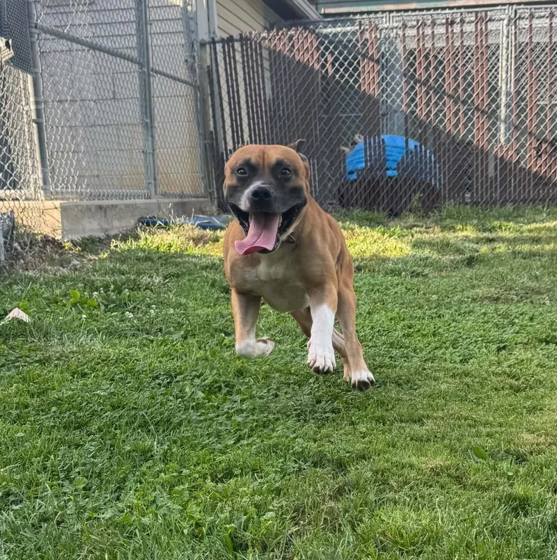 Duke
