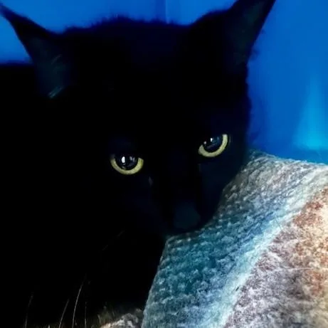 Lila  Pretty And thumbnail 2