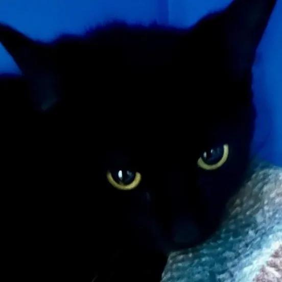 Lila  Pretty And thumbnail 3