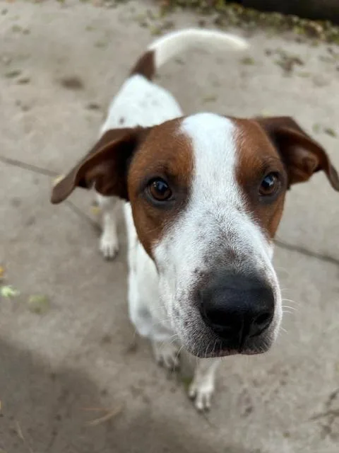 Chester