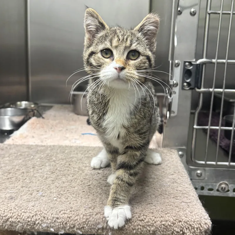 Shyla & Shayna thumbnail 2