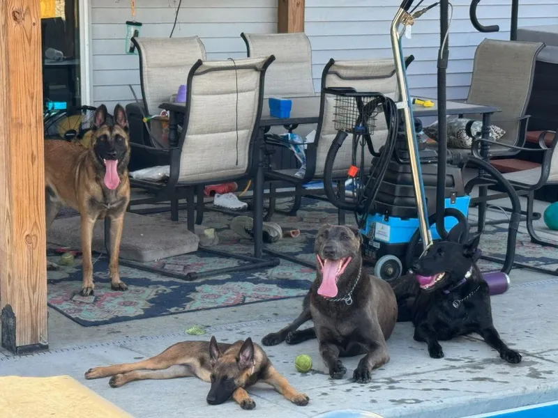 Literature Litter  Elizabeth thumbnail 3