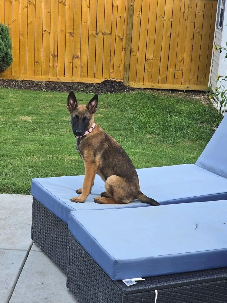 Literature Litter  Elizabeth thumbnail 4