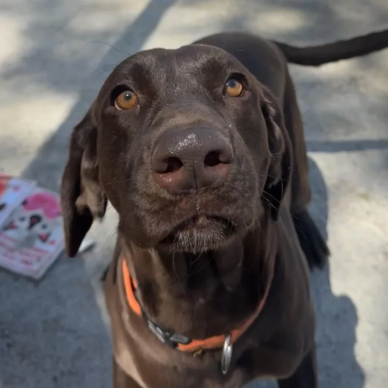 Heidi thumbnail 2