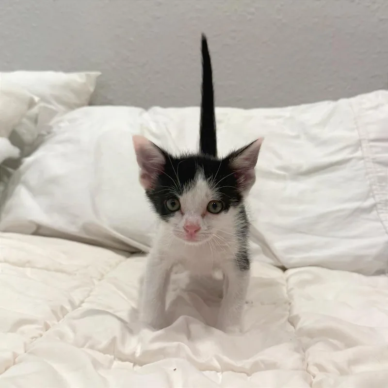 Under The Moon thumbnail 5