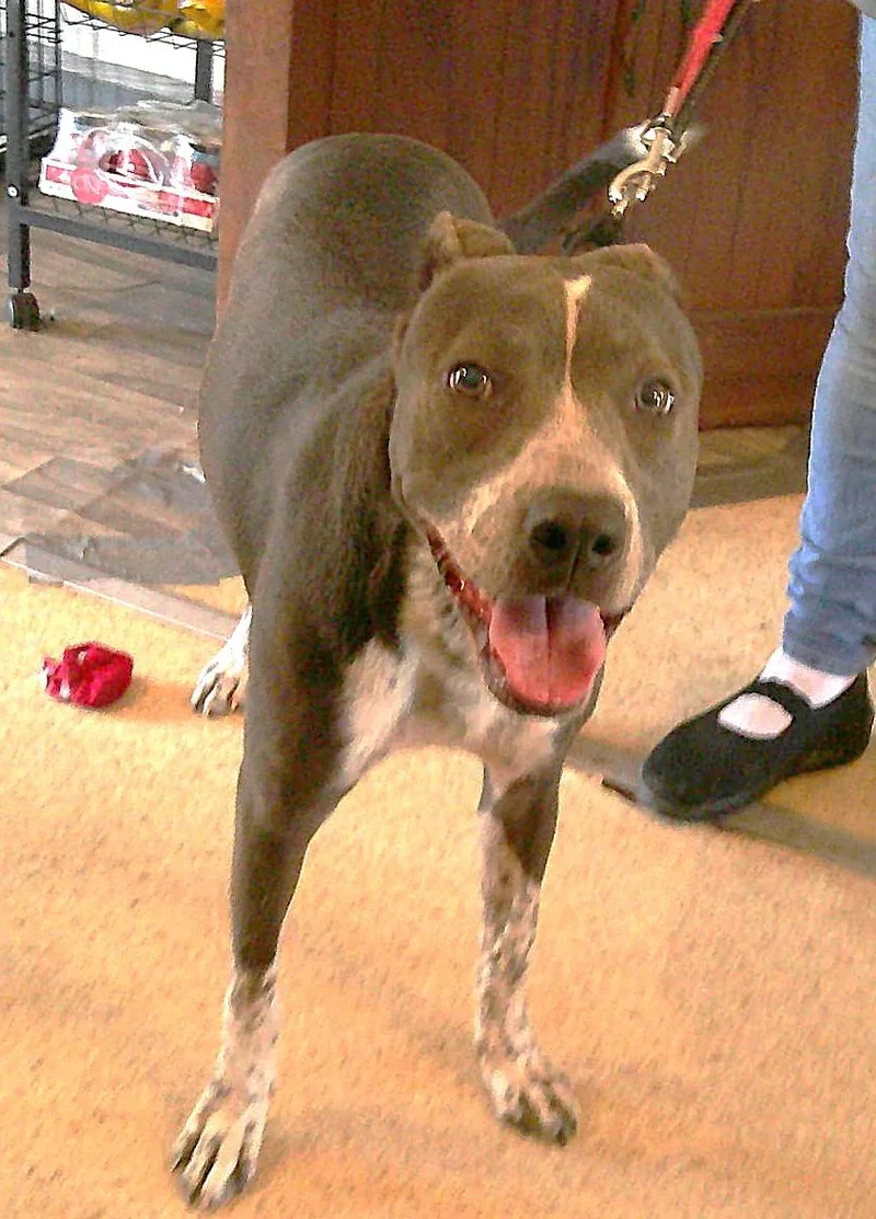 Taco Paco thumbnail 2