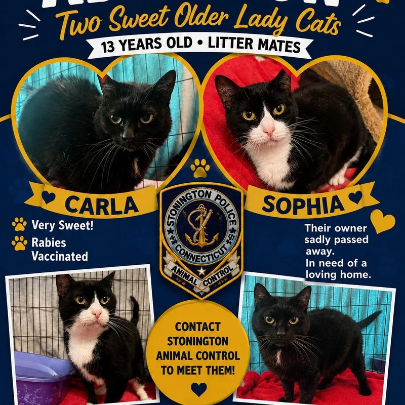 Carla & Sophia