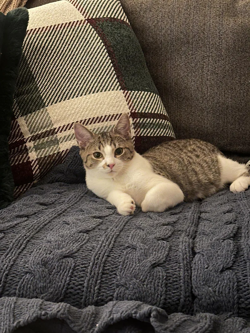 Charlles thumbnail 3