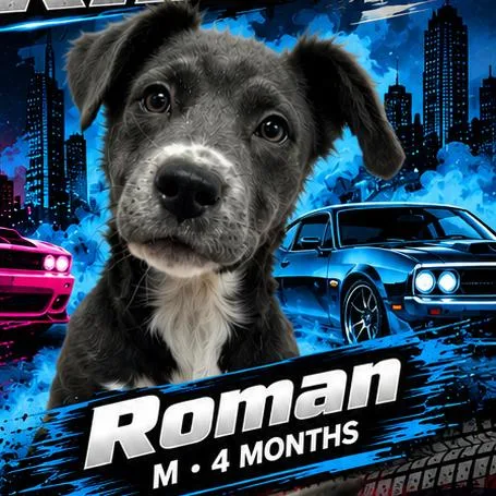 Roman thumbnail 3