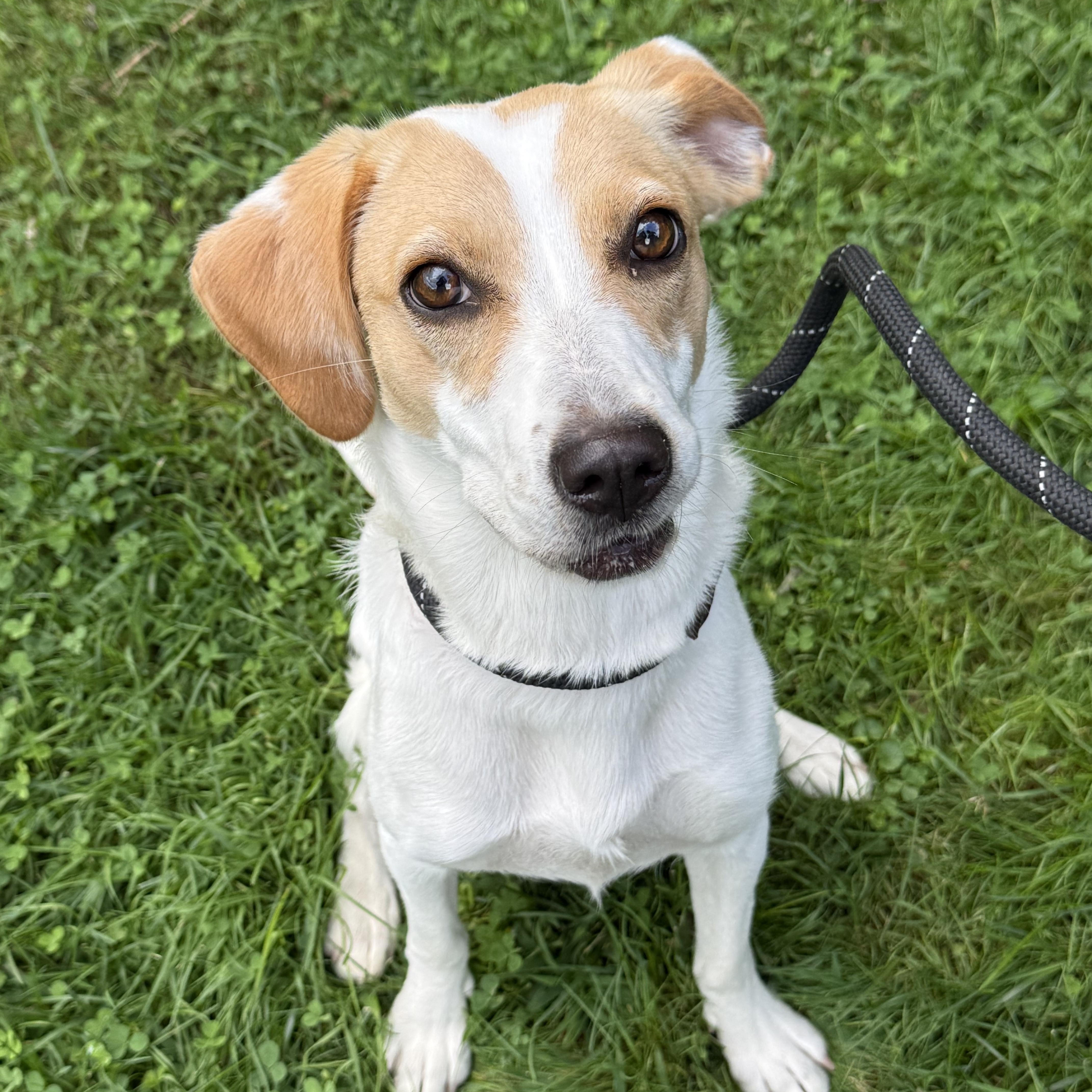 Mabel thumbnail 2