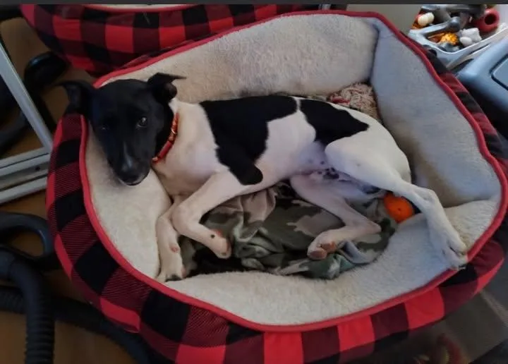 Max