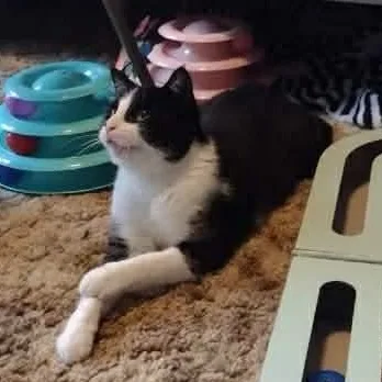 Guinness thumbnail 2