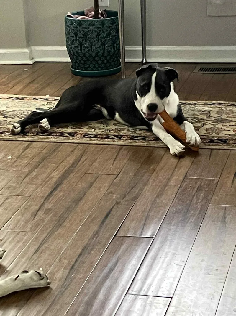 Valentine thumbnail 4