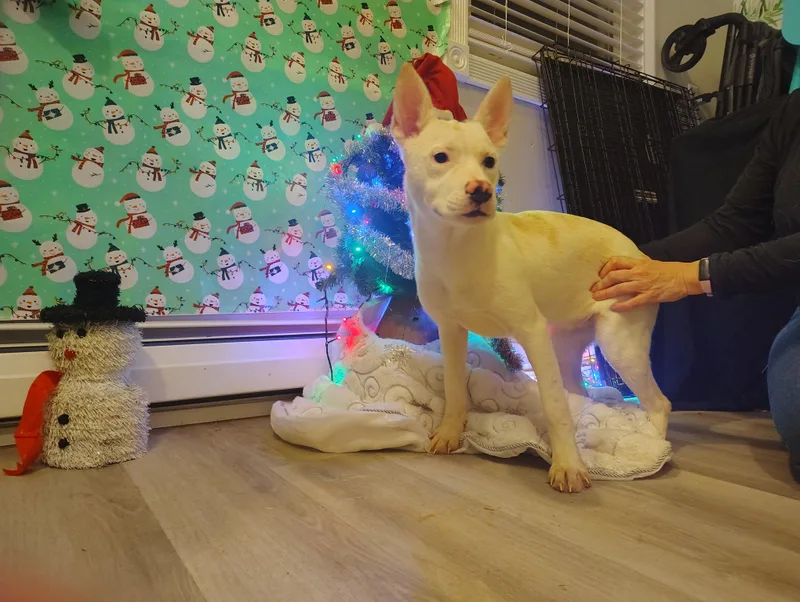 Chloe thumbnail 3
