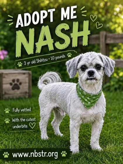 Nash