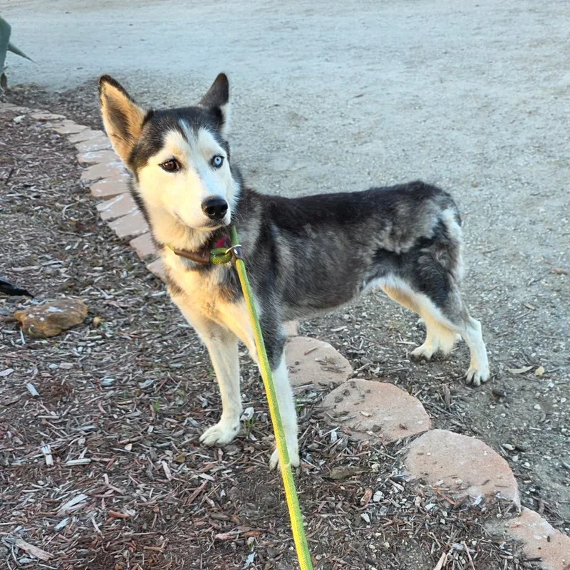 Flair Jum thumbnail 2