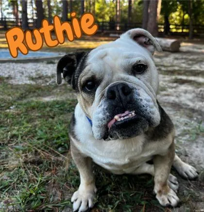 Ruthie thumbnail 2