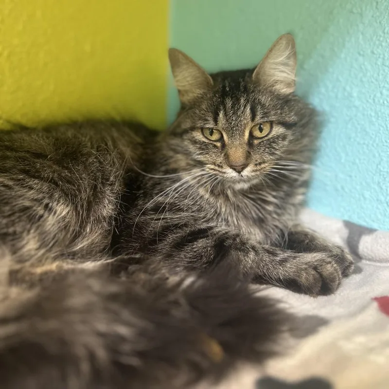 Twilight thumbnail 2