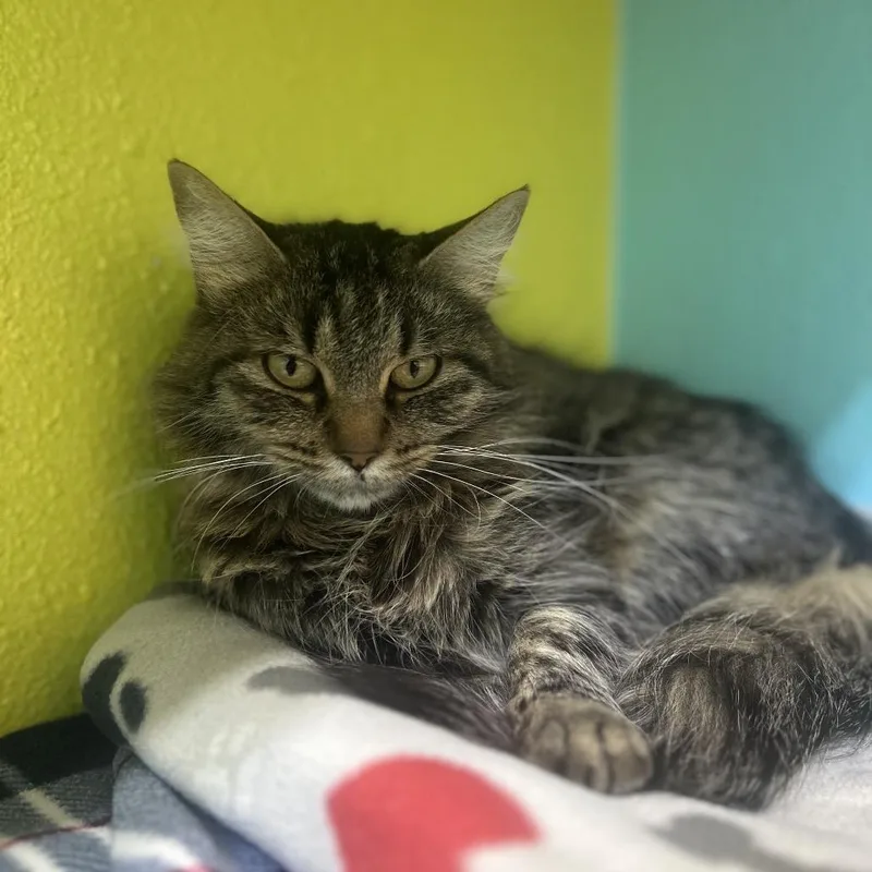 Twilight thumbnail 3