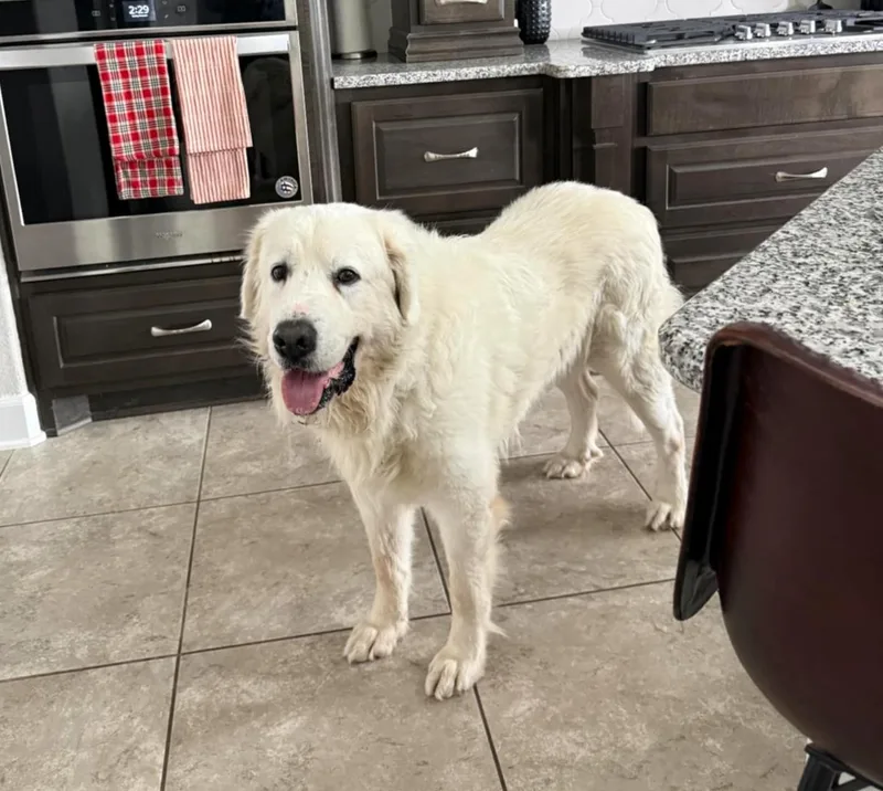 Doug Sat thumbnail 2