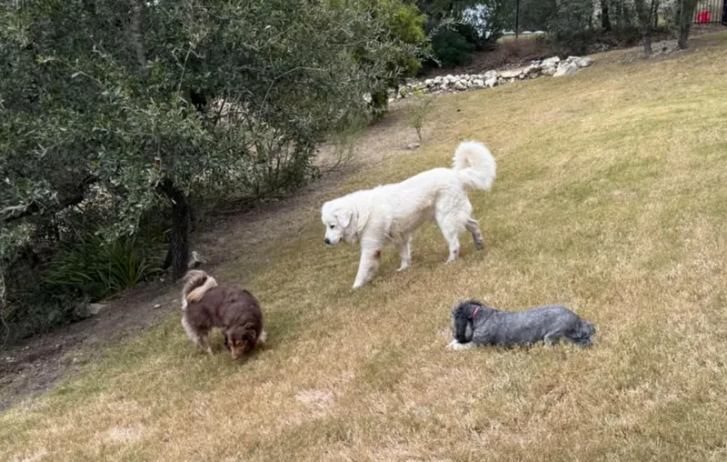 Doug Sat thumbnail 4