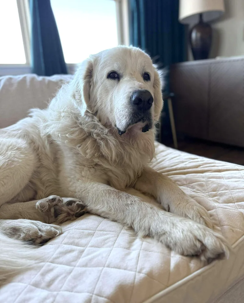 Doug Sat thumbnail 5