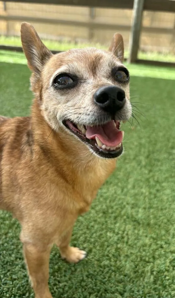 Bud Man And Snatchie thumbnail 2