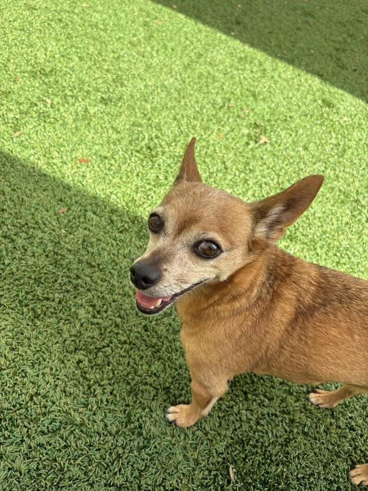 Bud Man And Snatchie thumbnail 4