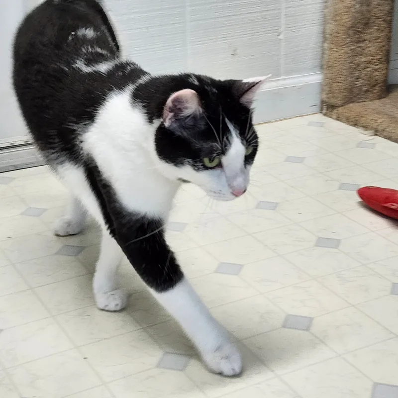 Heath J  Handsome thumbnail 2