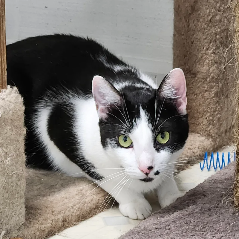 Heath J  Handsome thumbnail 3