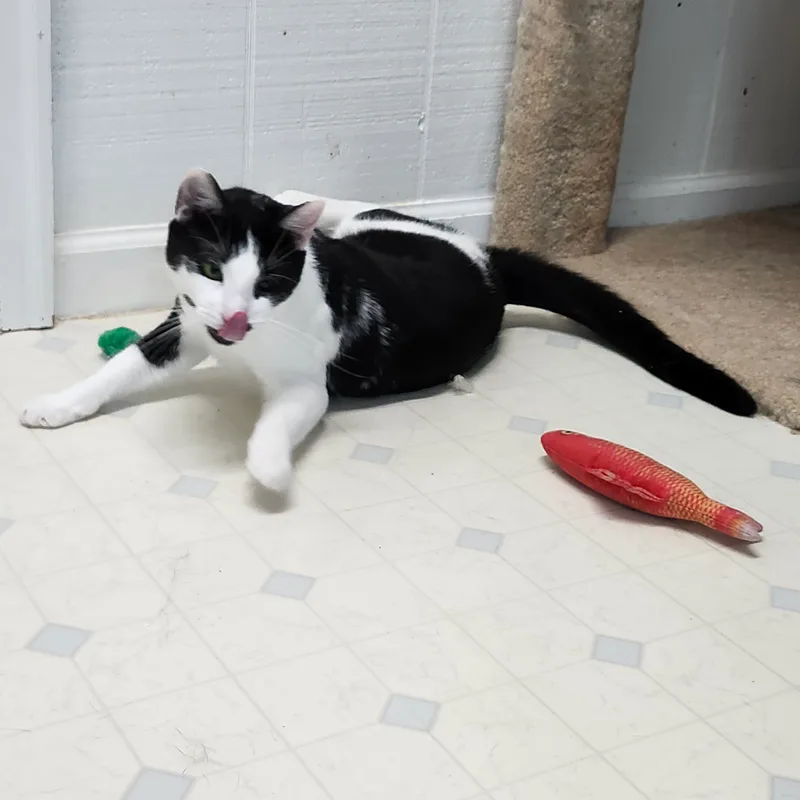 Heath J  Handsome thumbnail 4