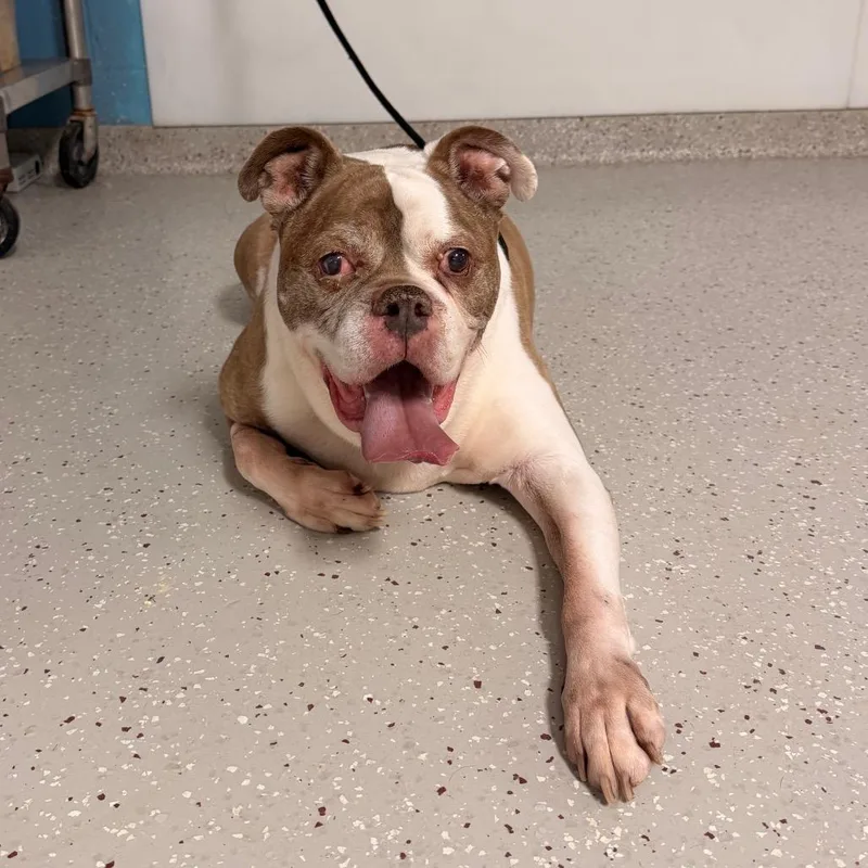 Samuel L. Snackson thumbnail 2