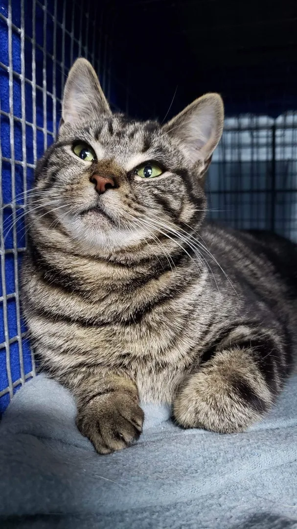 Sally Mae thumbnail 3