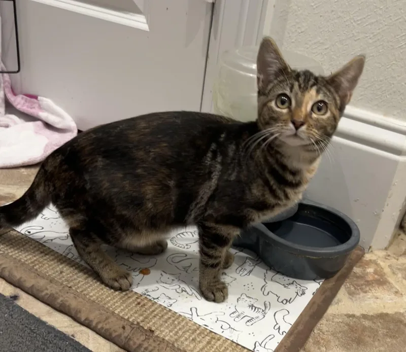 Wink  Riley Fuzzel thumbnail 2