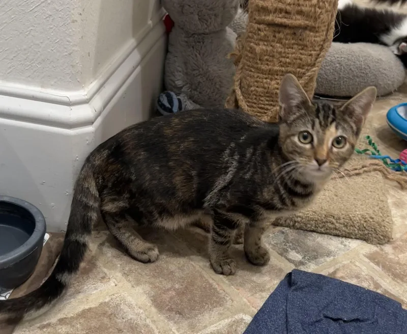 Wink  Riley Fuzzel thumbnail 4