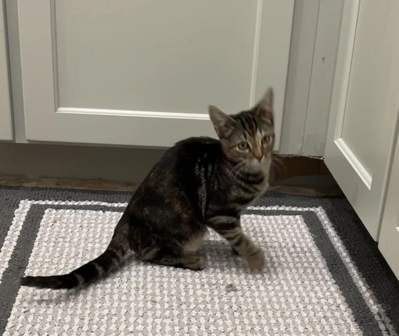 Wink  Riley Fuzzel thumbnail 5