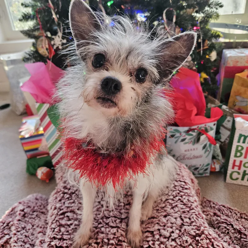 Sapphire thumbnail 2