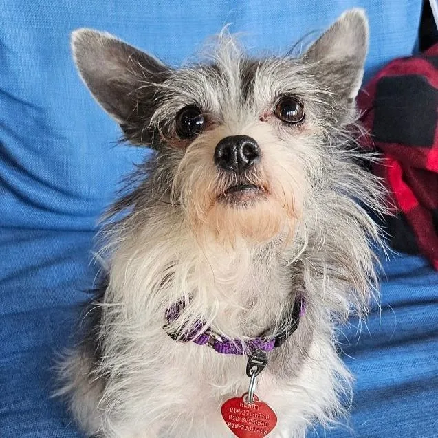 Sapphire thumbnail 3