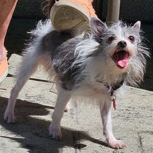 Sapphire thumbnail 4