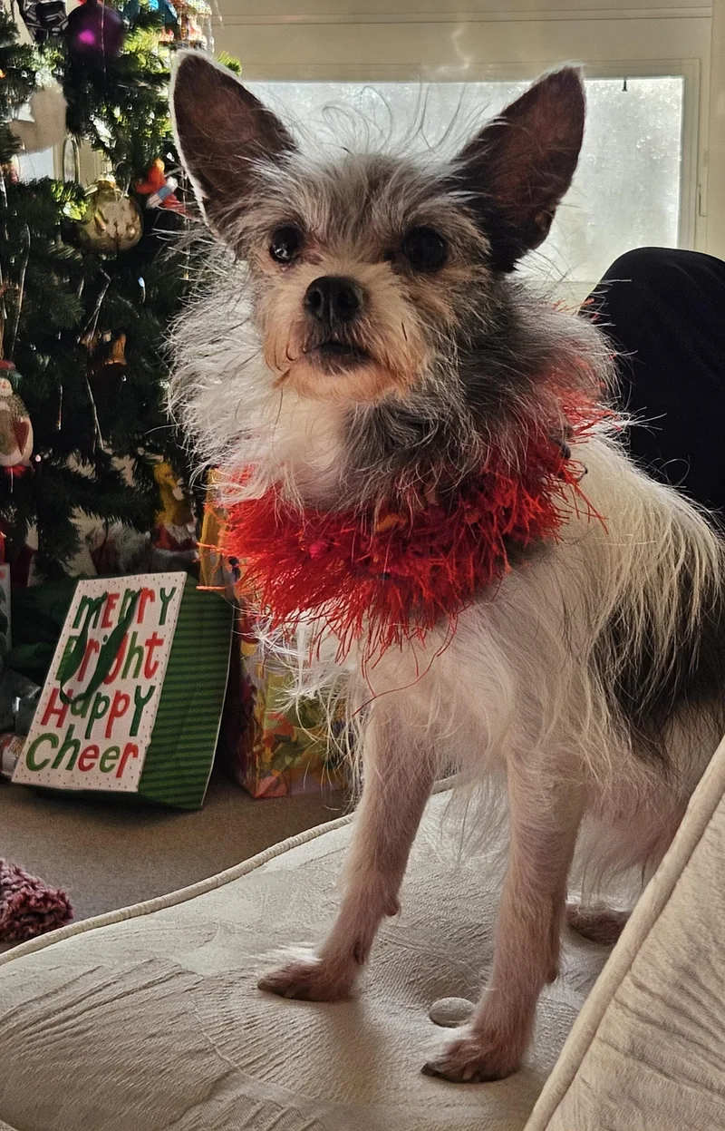 Sapphire thumbnail 6