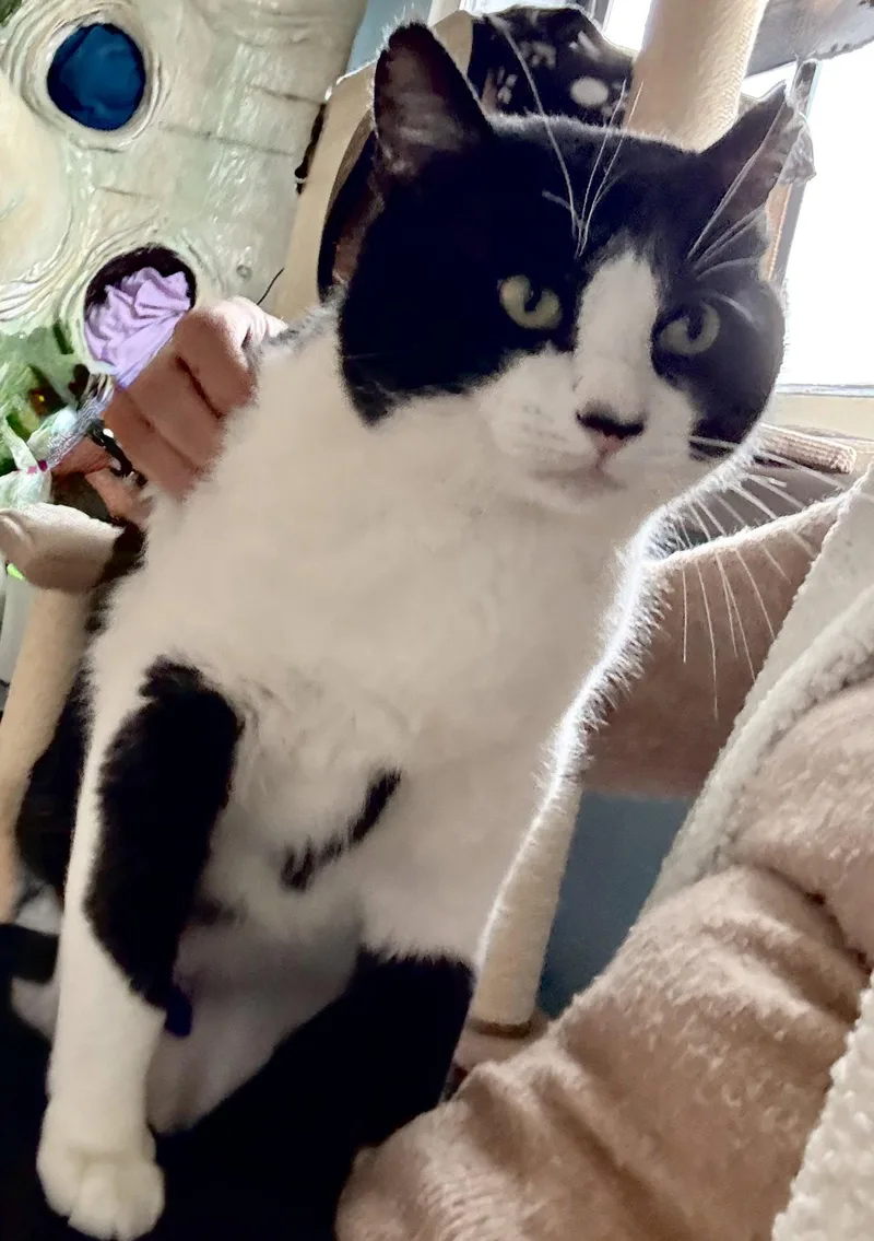 Bubba