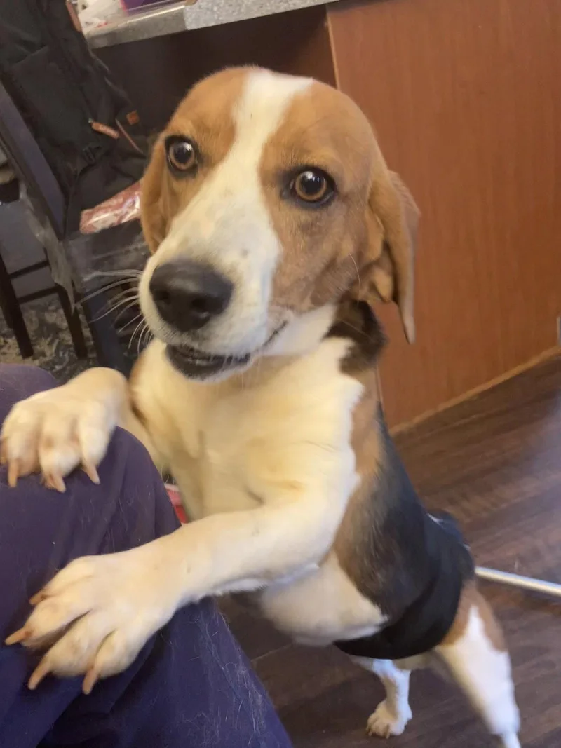 Thaddeus thumbnail 2