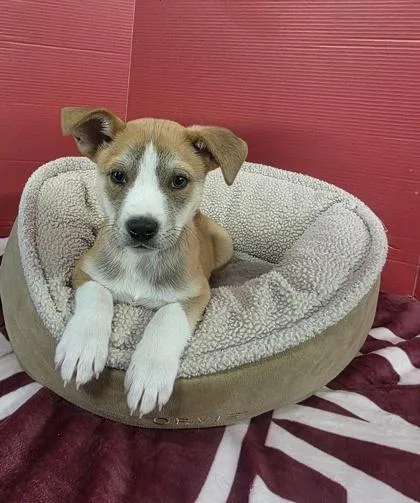 Jonathan thumbnail 2