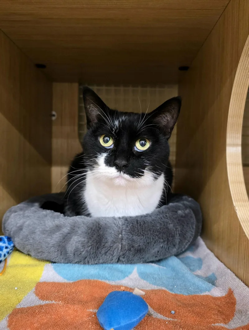 Daisy Mae thumbnail 2