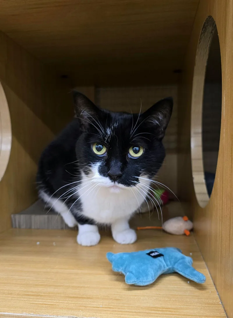 Daisy Mae thumbnail 3