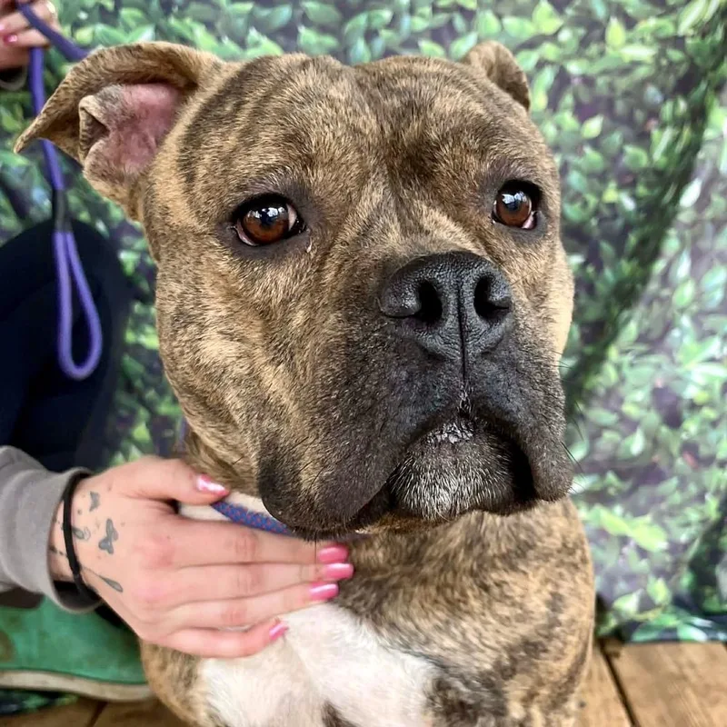 Martha May thumbnail 2