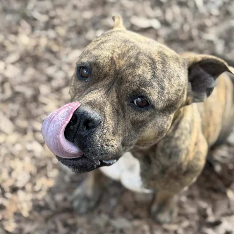 Martha May thumbnail 3