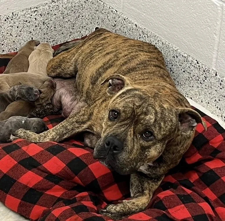 Martha May thumbnail 5