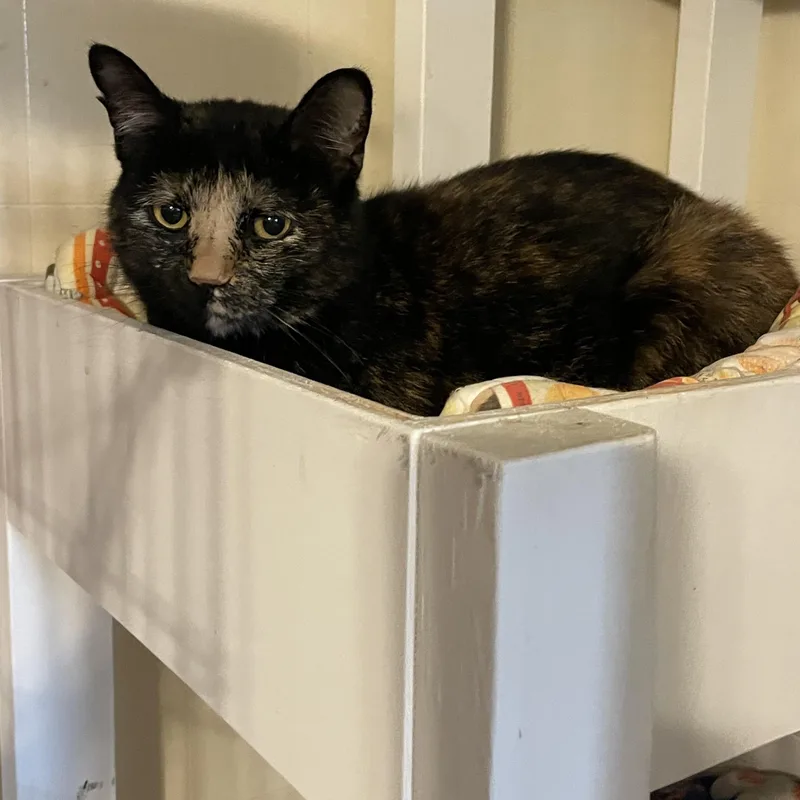 Helen Grace thumbnail 2