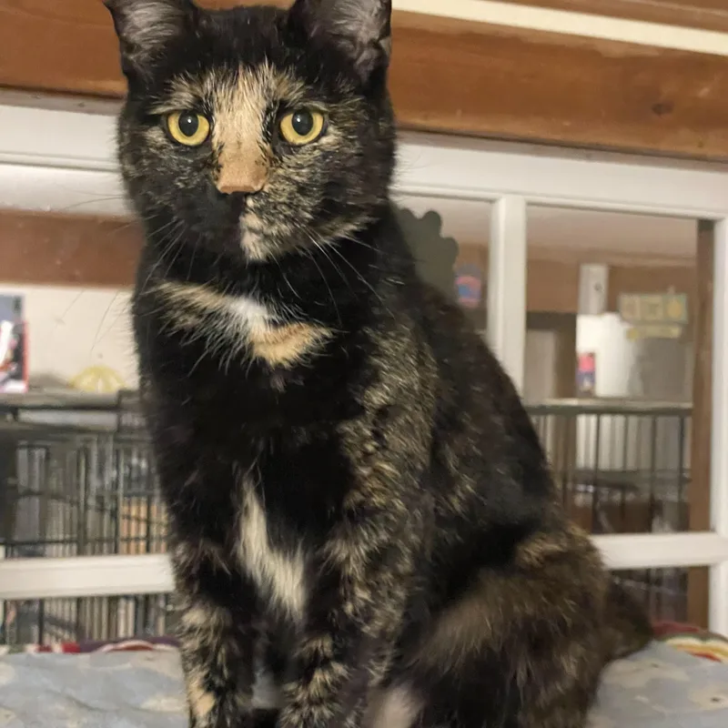 Helen Grace thumbnail 3